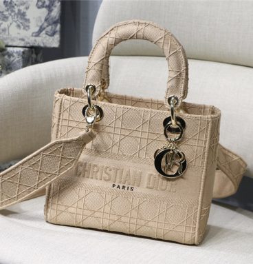 Lady Dior embroidery bag