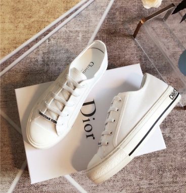 dior canvas shoes replica shoes