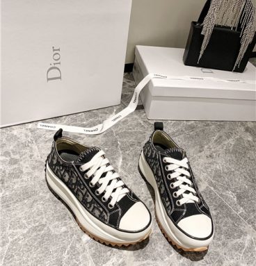 converse dior shoes