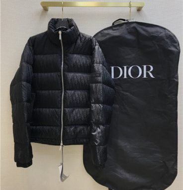 dior logo down jacket
