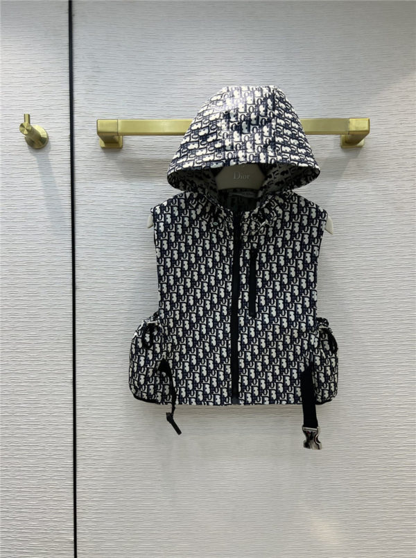 dior classic hooded vest