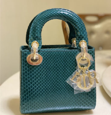 dior limited edition mini python leather lady bag