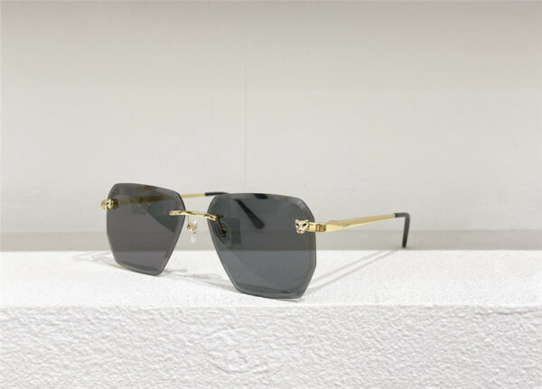 cartier CT0213 Sunglasses