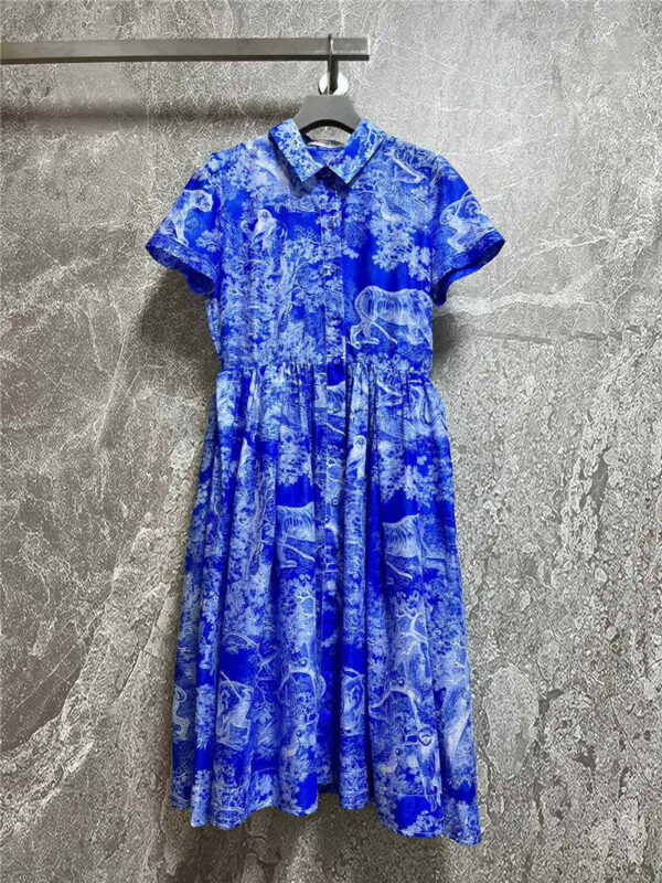 dior lake blue joe print dress