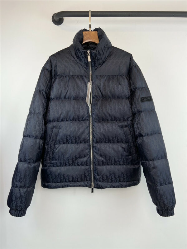 dior CD stand collar down jacket