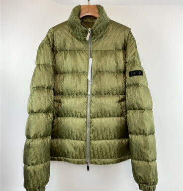 dior CD stand collar down jacket