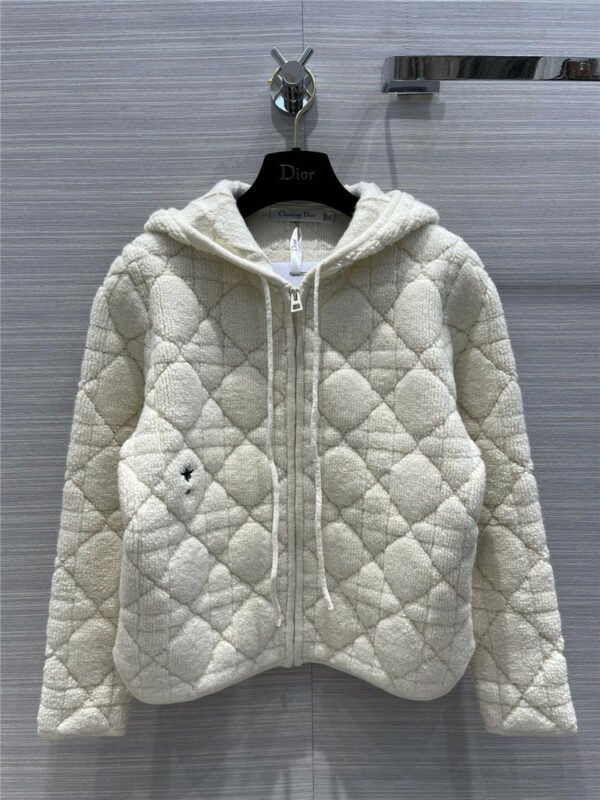 dior cashmere wool hooded zip coat