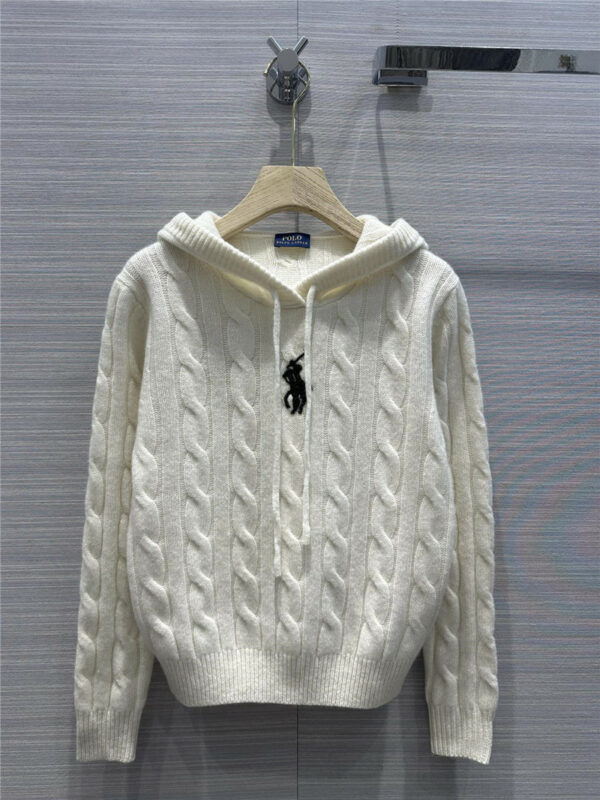 polo 3D embroidered hooded sweater