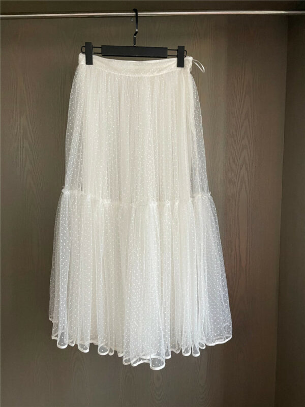 dior early spring new mesh skirt