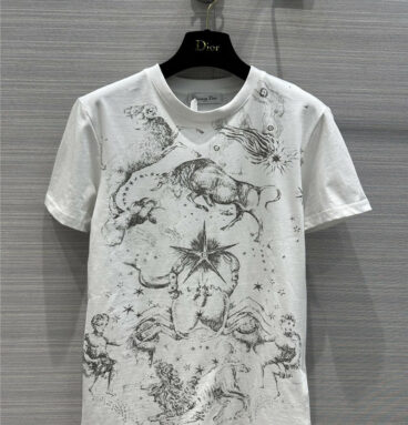 dior animal constellation print graphic T-shirt