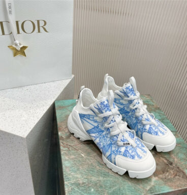 dior old shoes