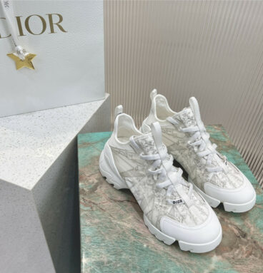 dior old shoes