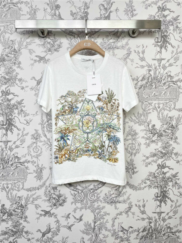 Dior spring and summer new T-shirt
