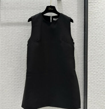 dior new vest dress