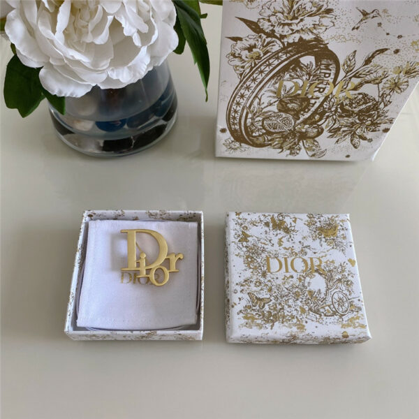 dior frosted letter brooch