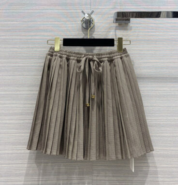 celine early autumn new product pleated skirt