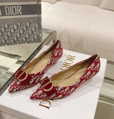 dior early spring new cat heel shoes