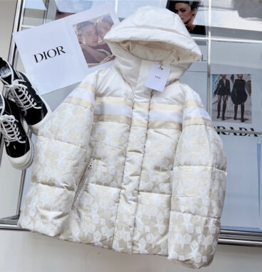 dior platinum jacquard pattern hooded down jacket