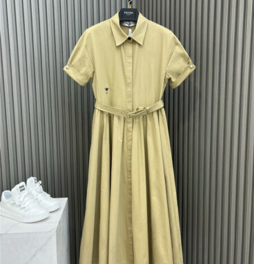 dior belt short sleeve pleated dress