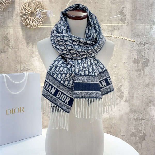 dior cashmere printed scarf