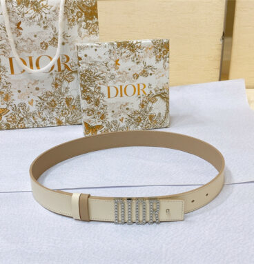 dior new D-Fence Dior belt