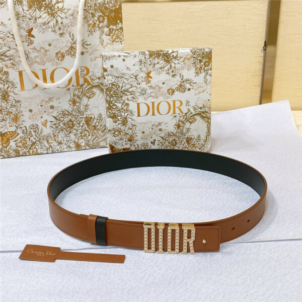 dior new D-Fence Dior belt