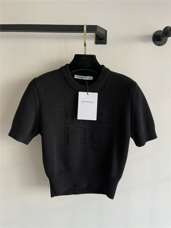 alexander wang concave logo sweater short sleeves