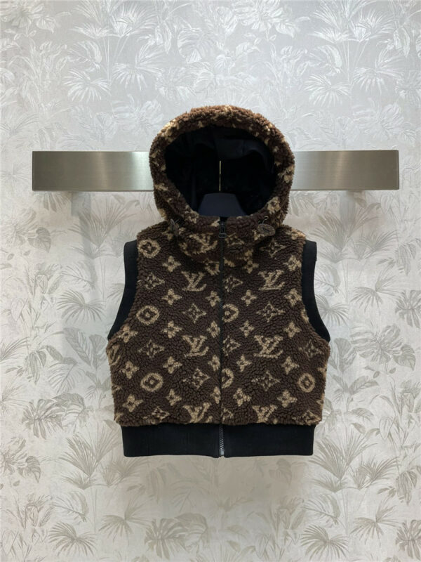 louis vuitton LV presbyopic teddy hooded stand collar vest