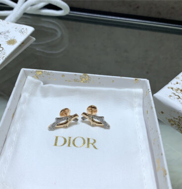 dior flower diameter earrings