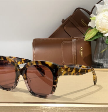 celine fashionable and versatile sunglasses