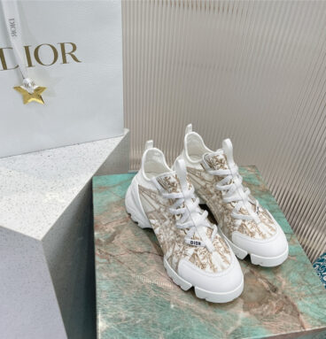 dior sports dad shoes