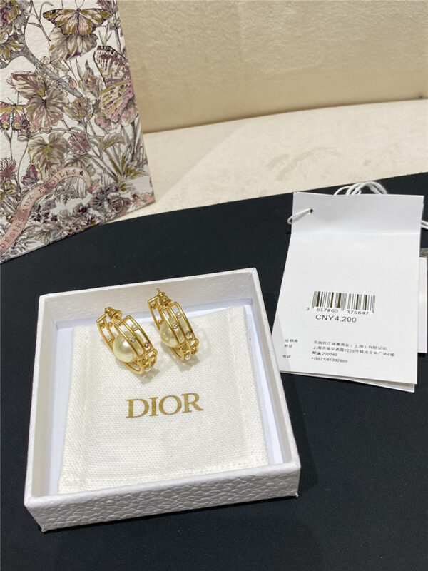 dior letter earrings