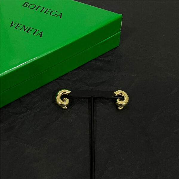Bottega Veneta new earrings