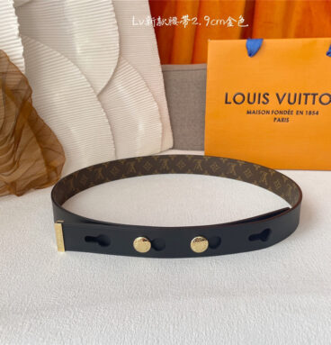 louis vuitton LV classic pvc printed belt