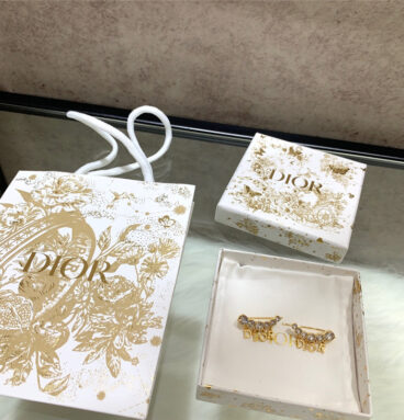 dior left and right letter earrings