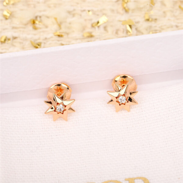 dior classic compass rose pattern earrings