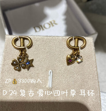 dior letter CD earrings