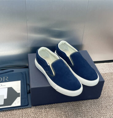 dior slip-on sports canvas skateboard shoes replica designer shoes